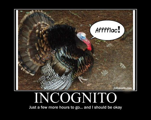 Thanksgiving Turkey Meme
 Best 25 Thanksgiving quotes funny ideas on Pinterest