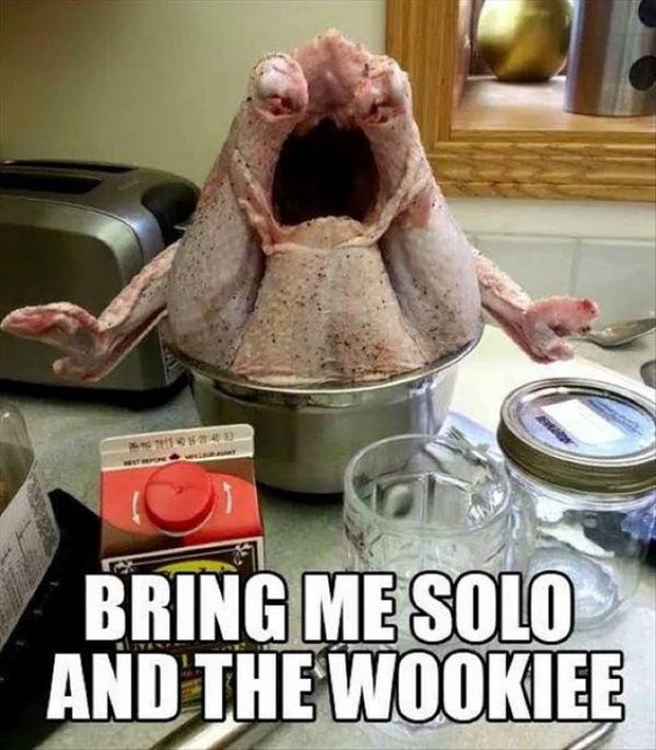 Thanksgiving Turkey Memes
 Thanksgiving Memes and fun pictures theCHIVE