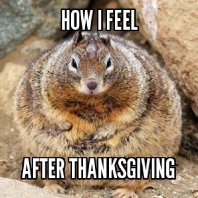 Thanksgiving Turkey Memes
 Thanksgiving Memes