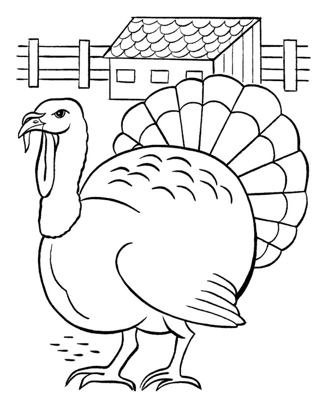Thanksgiving Turkey Pictures To Color
 Free Printable Turkey Coloring Pages For Kids