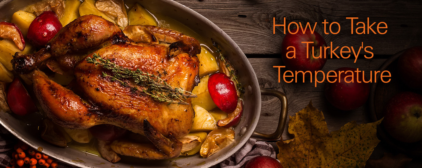 Thanksgiving Turkey Temperature
 The Total Turkey Guide How to Take a Turkey s Temperature