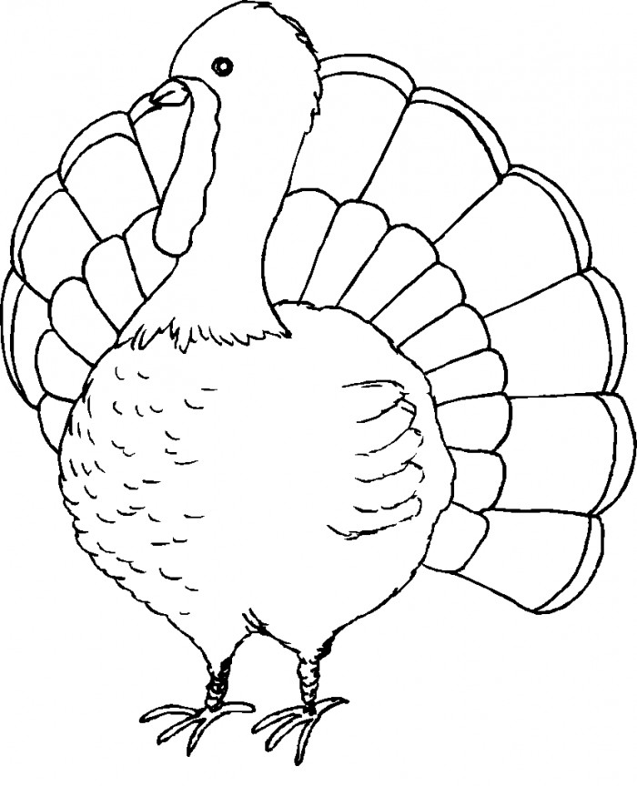 Thanksgiving Turkey To Color
 Cute Turkey Coloring Pages Coloring Home