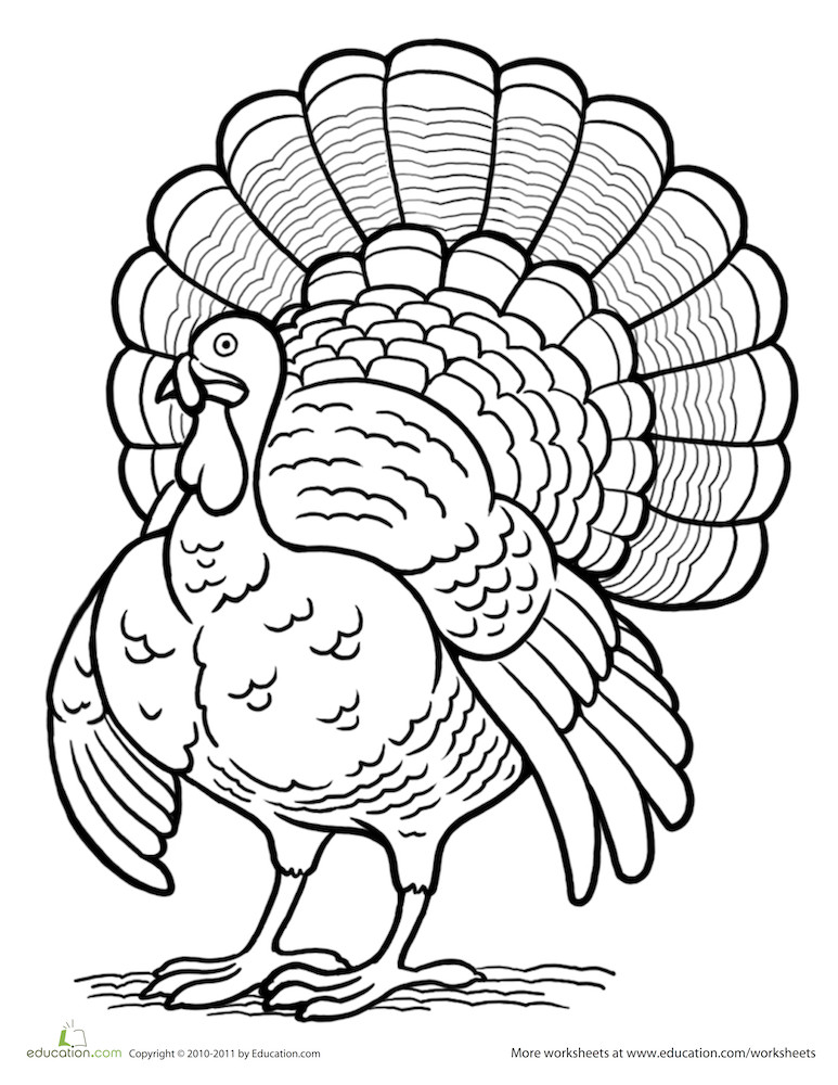 Thanksgiving Turkey To Color
 Thanksgiving Coloring Pages