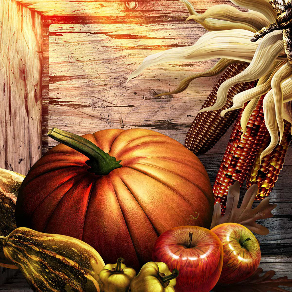 Thanksgiving Turkey Wallpaper
 Free Thanksgiving Wallpapers for iPad Bumper Harvest