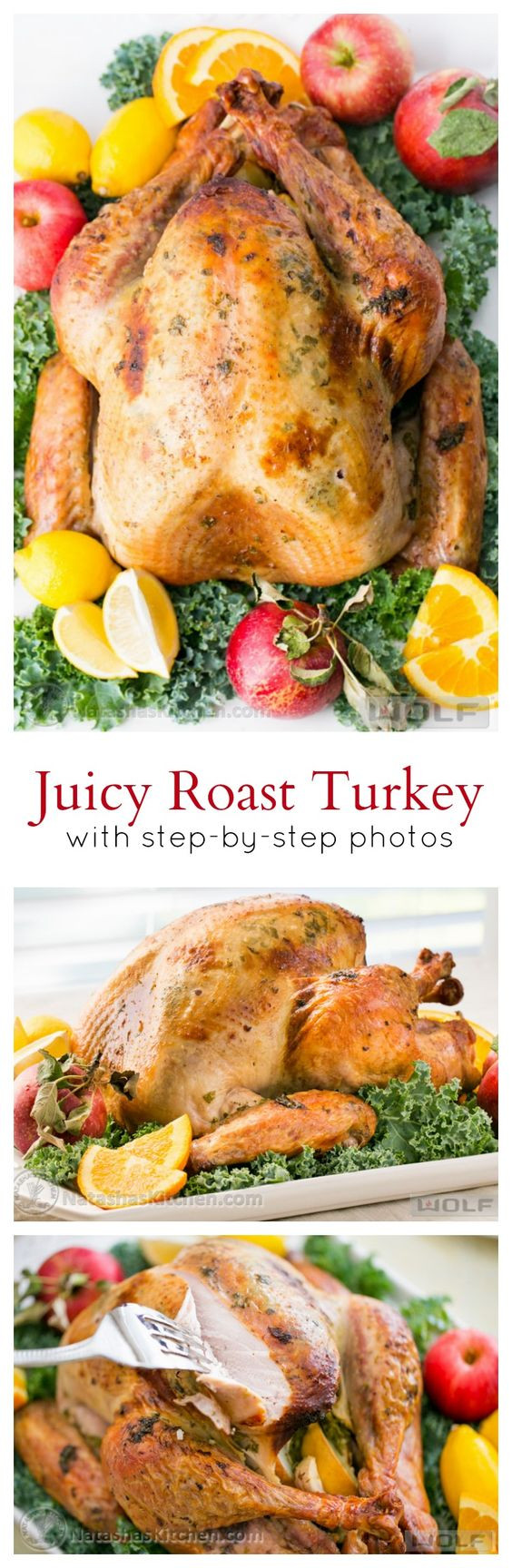 Traditional Thanksgiving Turkey Recipe
 The BEST Thanksgiving Dinner Holiday Favorite Menu Recipes
