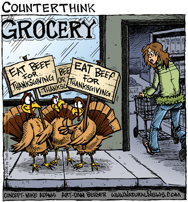 Turkey Cartoons Thanksgiving
 Thanksgiving turkeys ic