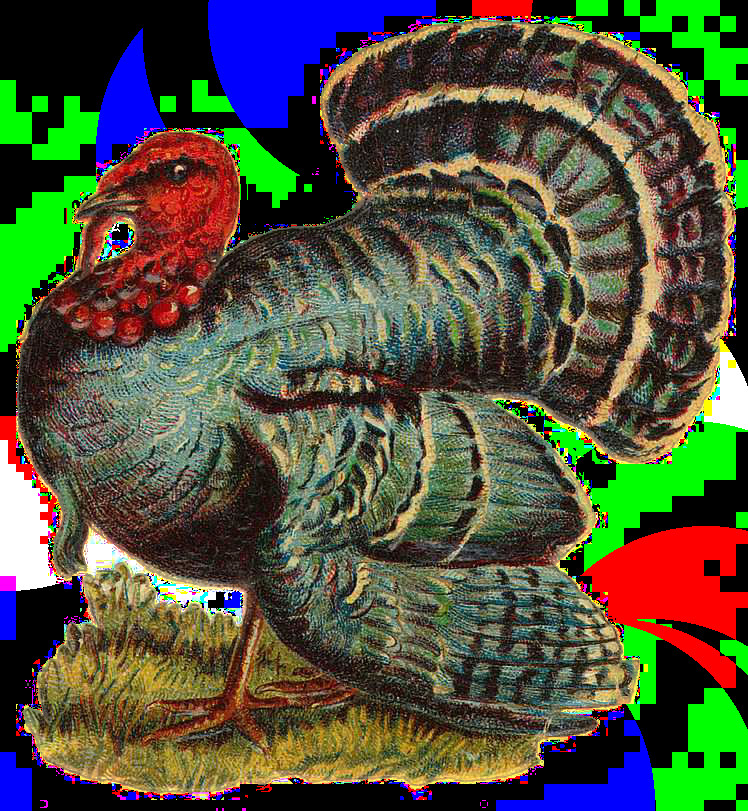 Turkey For Thanksgiving 2019
 turkey Craft Thanksgiving in 2019