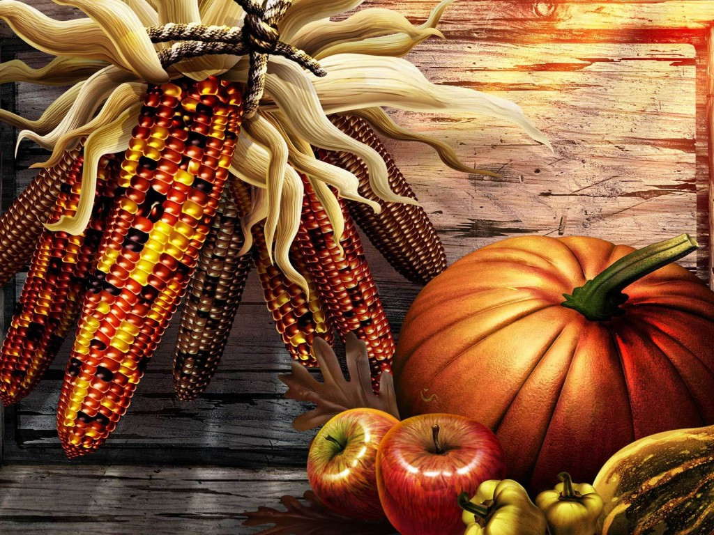 Turkey Images Thanksgiving
 Thanksgiving Holiday Wallpaper 3581
