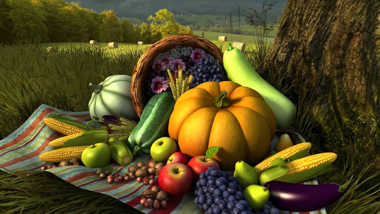 Turkey Images Thanksgiving
 Thanksgiving Day 3D Screensaver