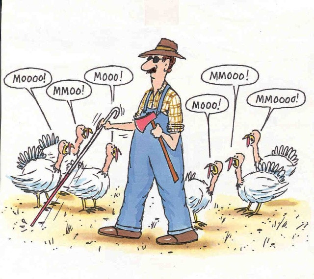 Turkey Jokes Thanksgiving
 holidays