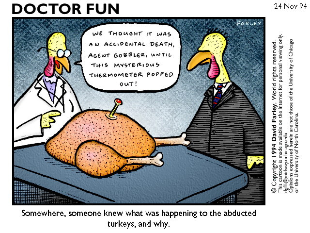 Turkey Jokes Thanksgiving
 More Humorous Thanksgiving Cartoons for Nurses NurseBuff