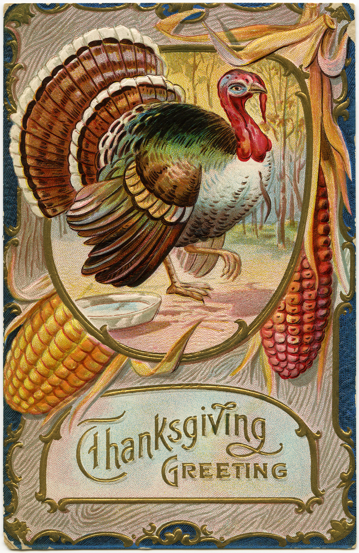 Turkey Pics Thanksgiving
 Thanksgiving Greeting Turkey Postcard Old Design Shop Blog