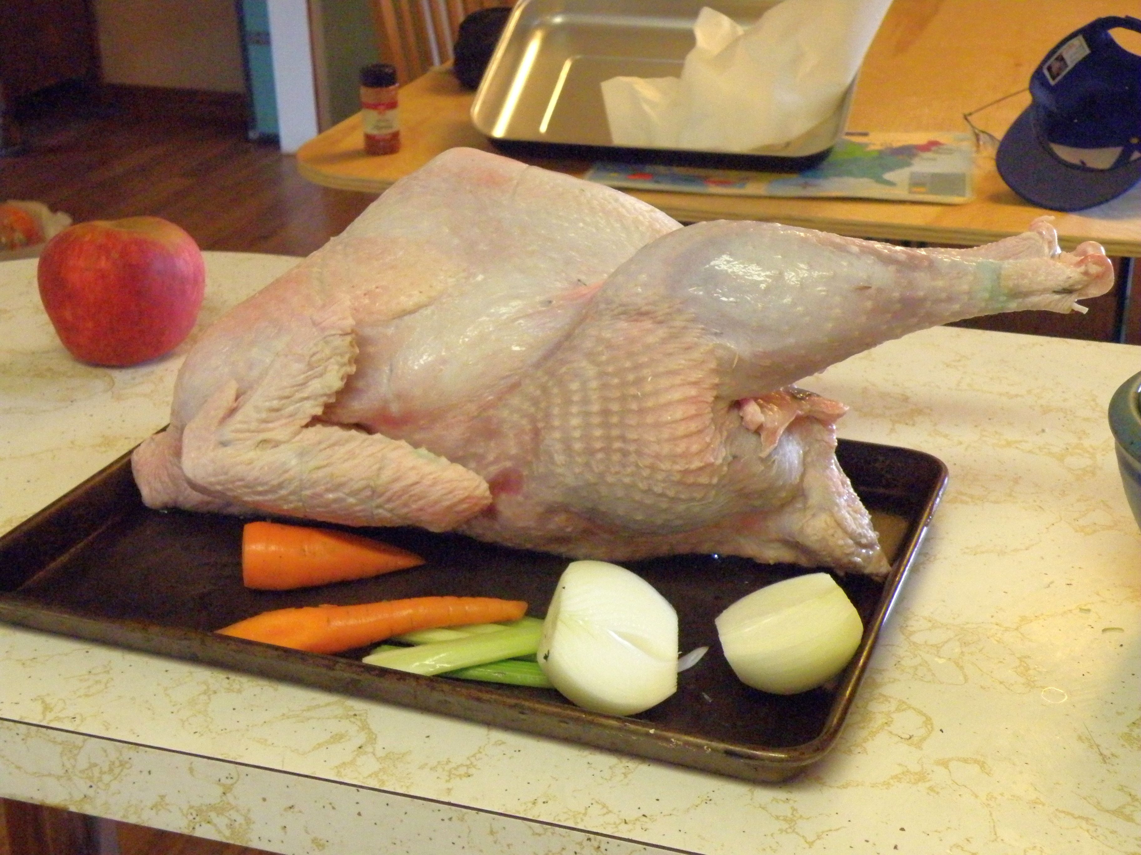Turkey Sizes For Thanksgiving
 File Heritage turkey thanksgiving Wikimedia mons