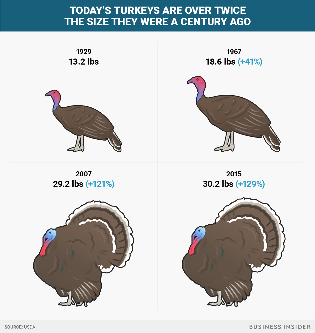 Turkey Sizes For Thanksgiving
 Thanksgiving turkeys have doubled in size since the 1950s