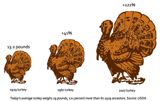 Thanksgiving coloring sheets online