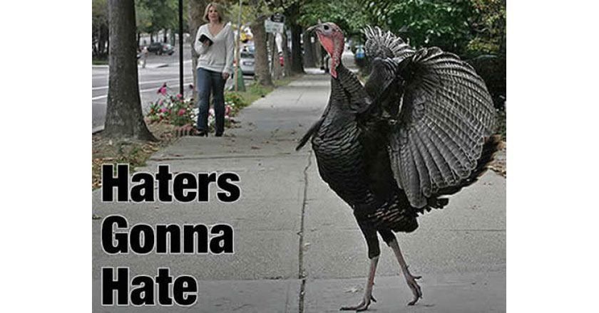 Turkey Thanksgiving Meme
 These 10 Turkey Memes are Perfect for Thanksgiving