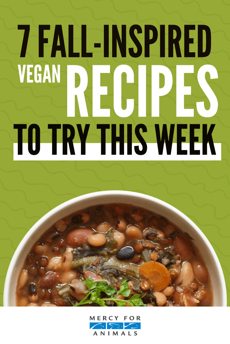 Vegan Fall Recipes
 7 Fall Inspired Vegan Recipes to Try This Week ChooseVeg