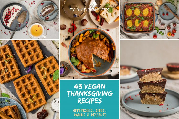 Vegan Gluten Free Thanksgiving Recipes
 Vegan Thanksgiving Recipes [Gluten Free and Oil Free