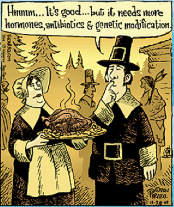 Vegan Thanksgiving Funny
 Humor – 10 Years Dan Piraro