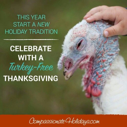 Vegan Thanksgiving Meme
 97 best Ve arian Quotes images on Pinterest