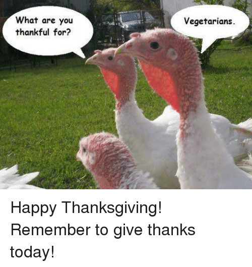 Vegan Thanksgiving Meme
 25 Best Happy Thanksgiving Memes