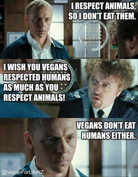Vegan Thanksgiving Meme
 85 best images about vegan memes on Pinterest