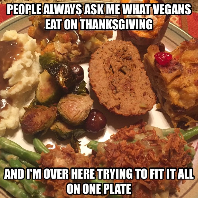 Vegan Thanksgiving Meme
 A soy Bean Thanksgiving and a Noodle Pudding Miracle