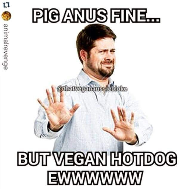 Vegan Thanksgiving Meme
 10 images about Vegan humor no really on Pinterest