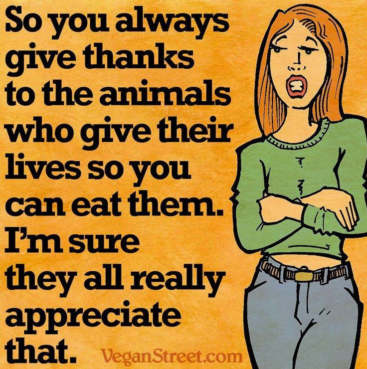 Vegan Thanksgiving Meme
 198 best images about Vegan memes on Pinterest