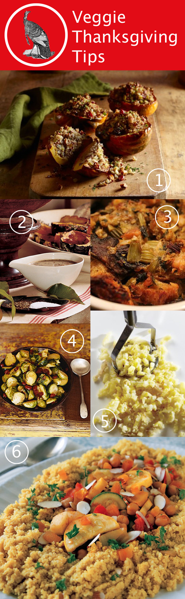 Vegetarian Options For Thanksgiving
 Ve arian Thanksgiving Tips & Ideas