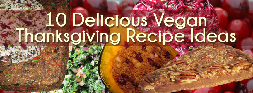 Vegetarian Options For Thanksgiving
 10 Delicious Raw and Vegan Thanksgiving Recipe Ideas