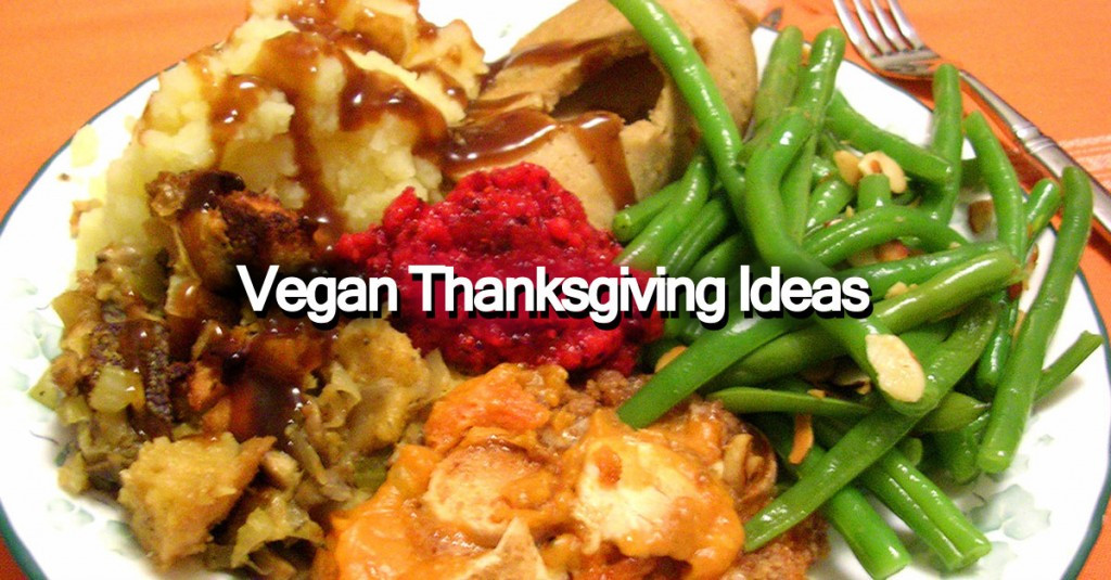 Vegetarian Thanksgiving Ideas
 Vegan Thanksgiving Ideas Save The Turkeys