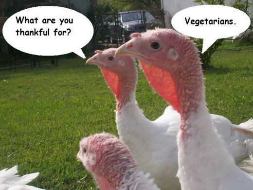 Vegetarian Thanksgiving Turkey
 ve arianbacon
