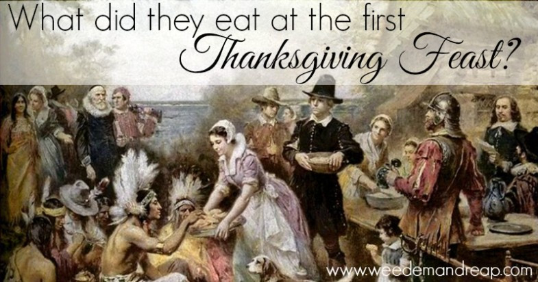 Was There Turkey At The First Thanksgiving
 What did they eat at the first Thanksgiving Feast