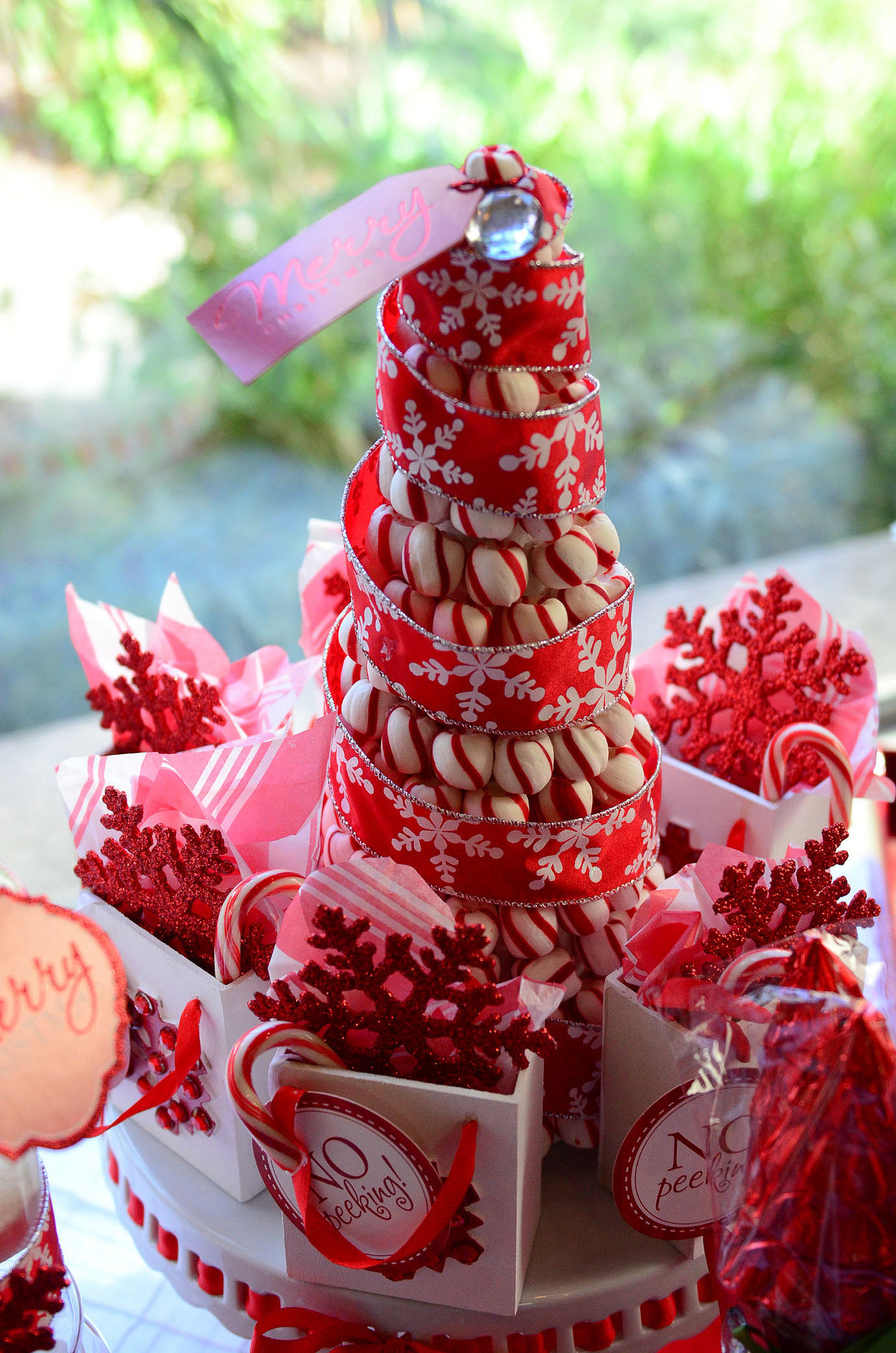 White Christmas Candy
 Glittering Red & White Christmas Party