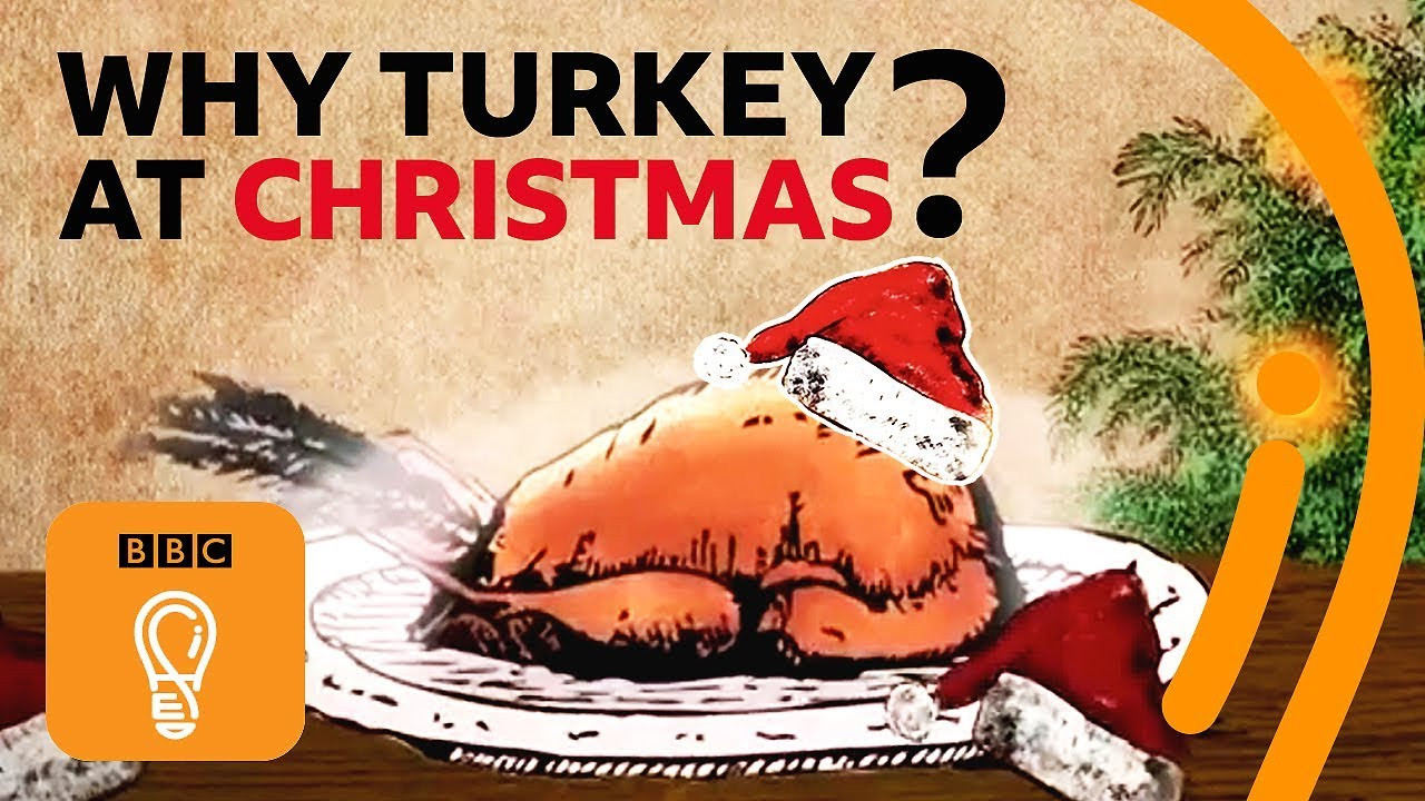 Why Do We Eat Turkey For Thanksgiving
 Why do we eat turkey for Christmas and Thanksgiving