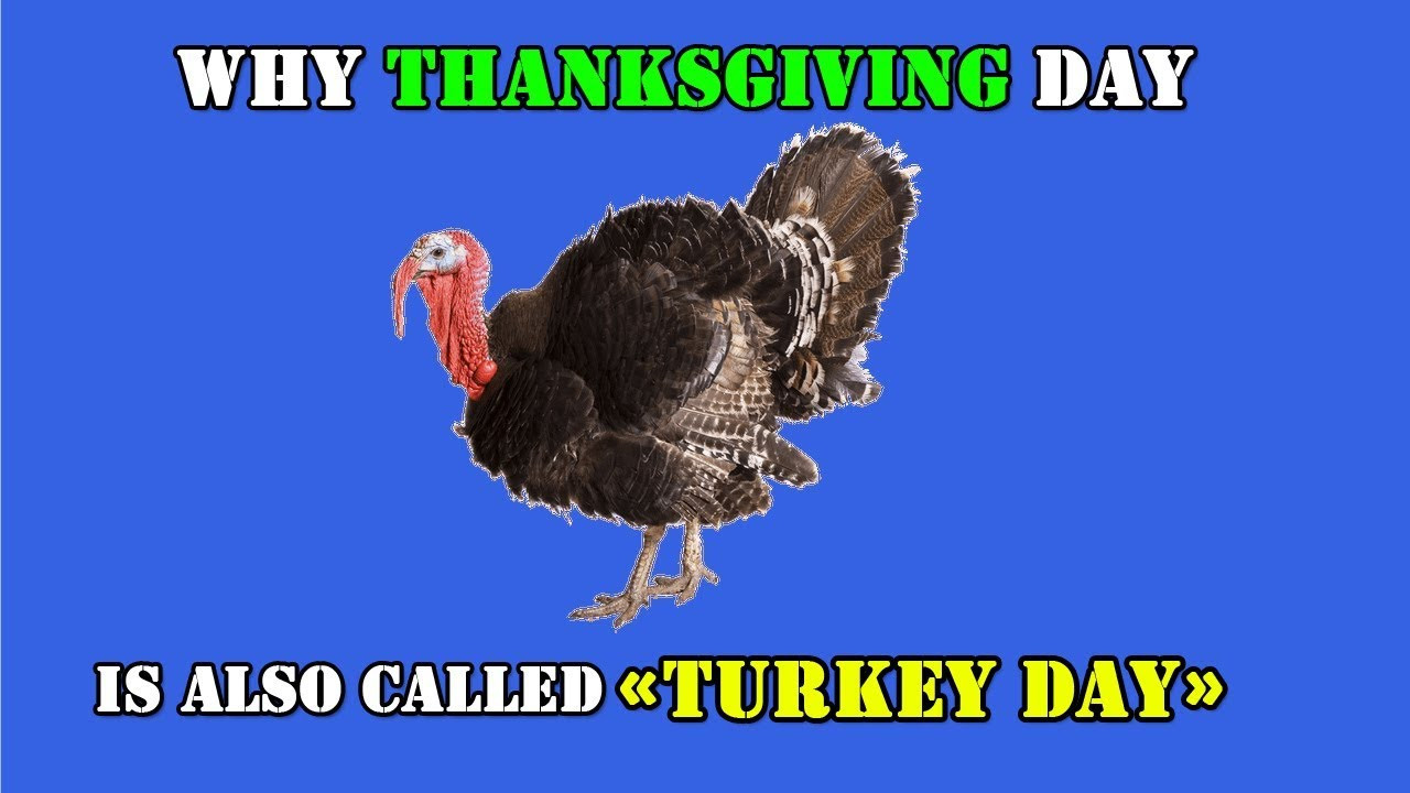Why We Eat Turkey On Thanksgiving Day
 Why do People Eat Turkey on Thanksgiving day Happy