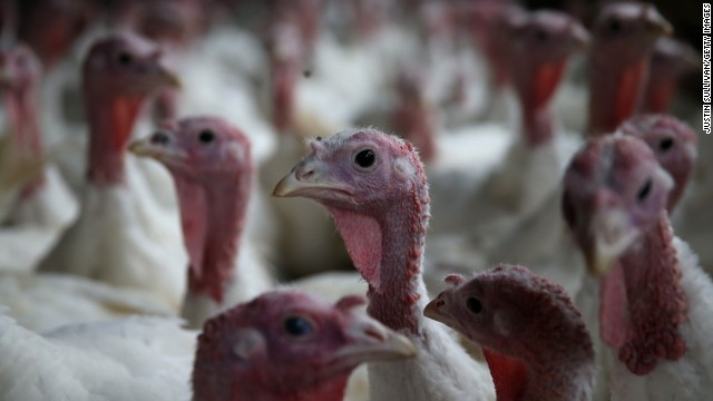 Why We Eat Turkey On Thanksgiving Day
 What you don t know about Thanksgiving Opinion CNN