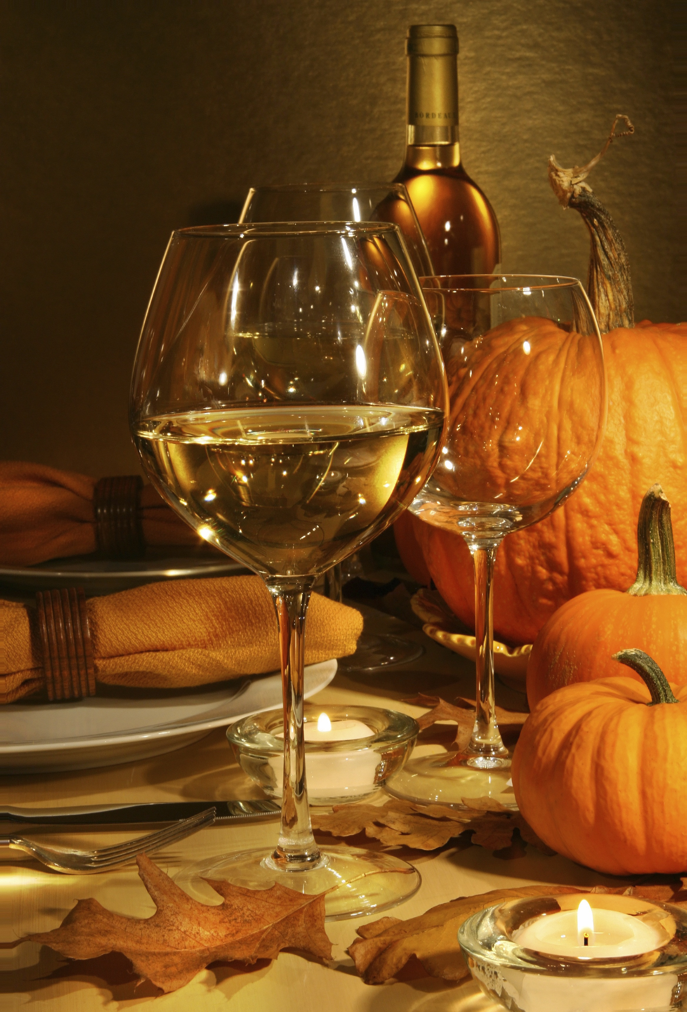Wine For Thanksgiving Dinner
 Introduction to Sedona